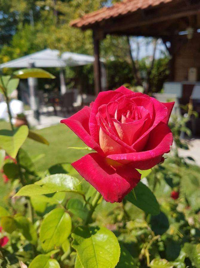 Villa Valeria Thassos Bagian luar foto